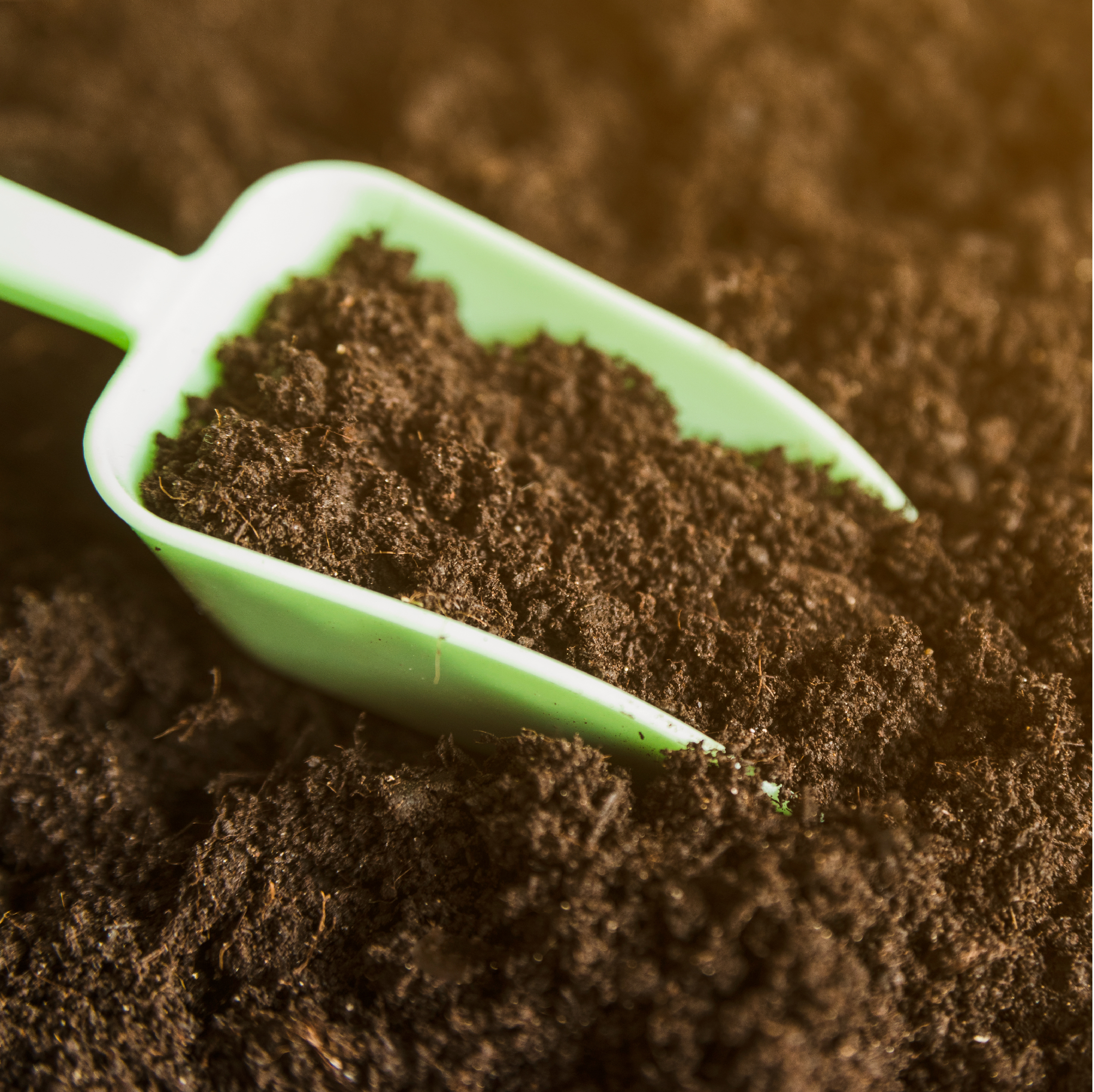 Agribusiness in Industry